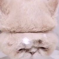 我好無聊(◐‿◑)﻿