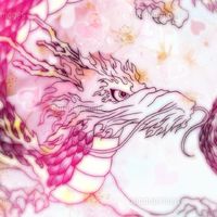 チームを作りたい！チーム名は龍花！