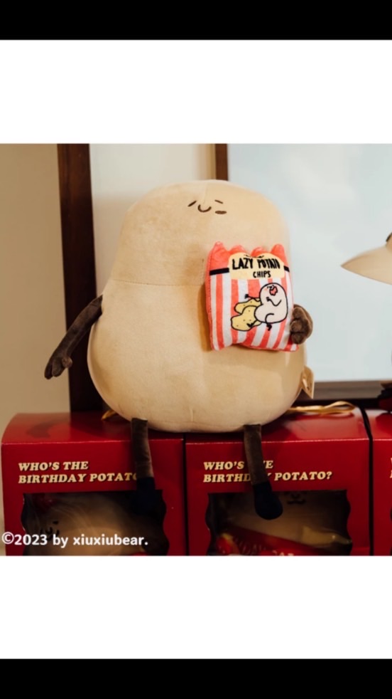 寵物用品 貓咪專門