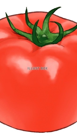 トマト軍🍅のオープンチャット