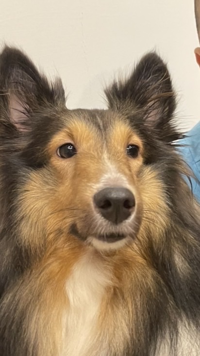 聊天 處關係 閨蜜 兄弟