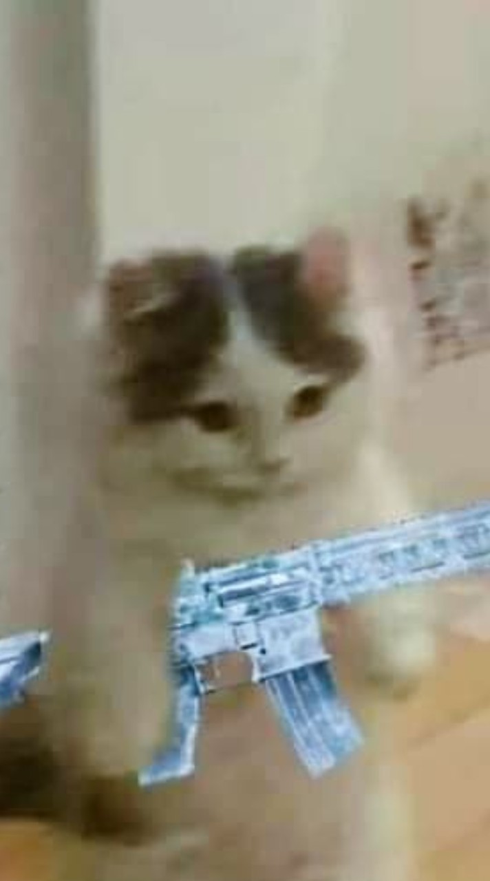 聊天群
