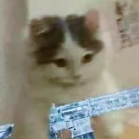 聊天群