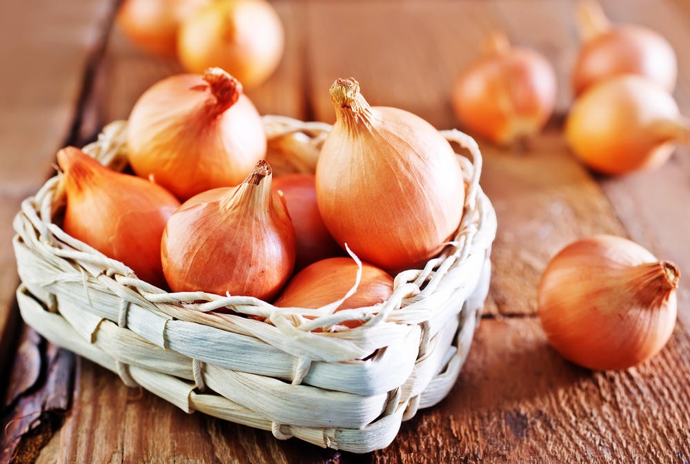 芽吹いた玉ねぎは食べられる 知って驚愕 玉ねぎの芽の用途とは