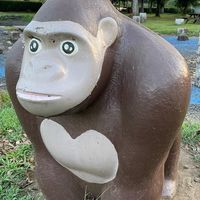 ⚽️個仁参加フットサル🥅　〜フットサルは思いやり〜