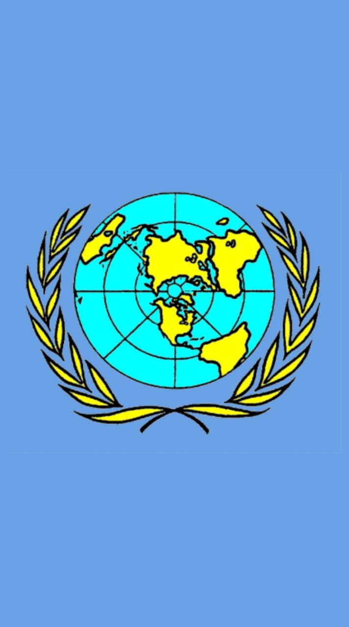 国際連合