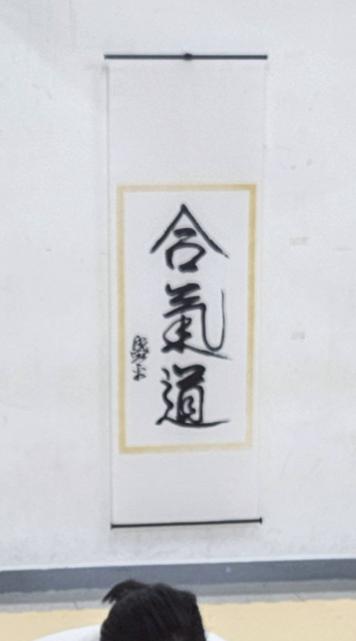 東吳大學溪城合氣道社