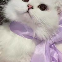 莓ㄉ代儲賺錢