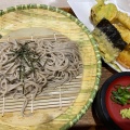 天ざるそば - 実際訪問したユーザーが直接撮影して投稿した平野町下村そば生麺工房 五郎八郎の写真のメニュー情報