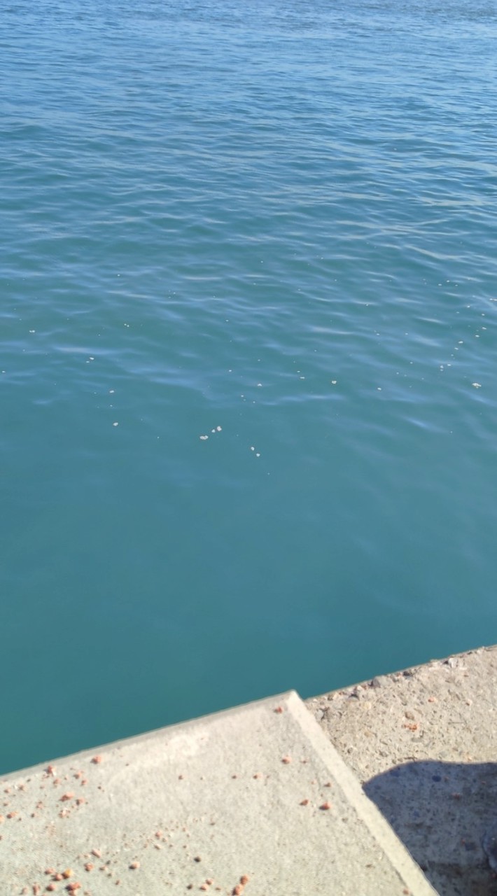 🎣極致家族🎣
