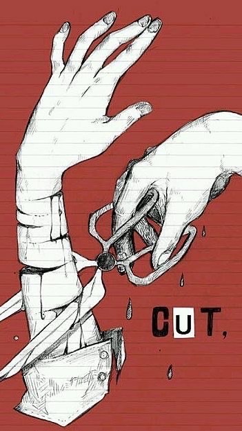 🐿🦟部　🎀❤️‍🩹🔪