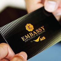 Embassy Diplomat Screens