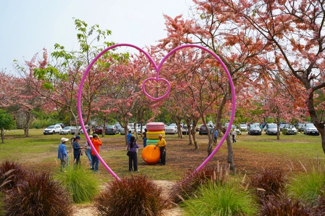 中部景點,斗六景點,斗六花旗木,近水樓台,近水樓台湖畔森林咖啡,近水樓台湖畔森林咖啡交通資訊,近水樓台湖畔森林咖啡停車場,近水樓台湖畔森林咖啡停車場花旗木,近水樓台湖畔森林咖啡門票,雲林IG打卡點,雲林景點,雲林網美景點,雲林花旗木近水樓台湖畔森林咖啡花旗木