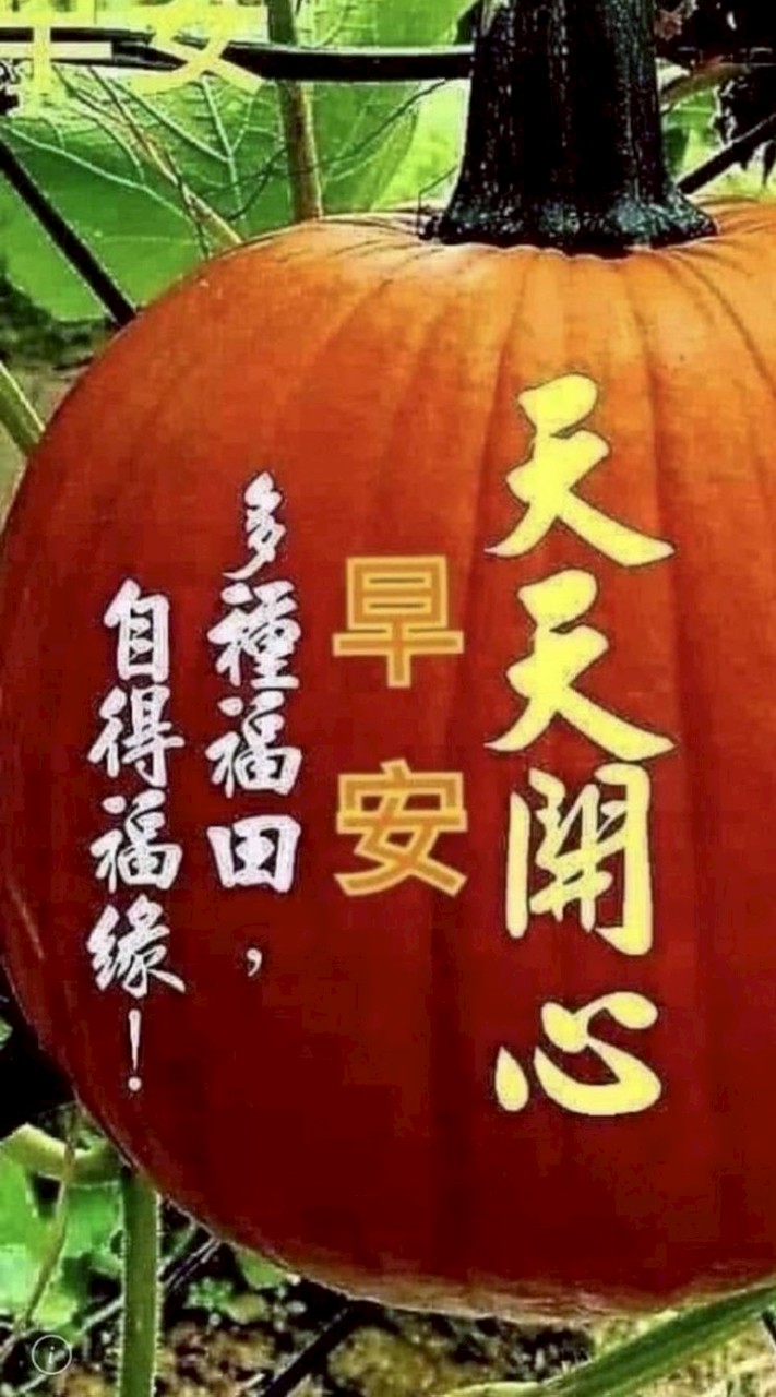象棋占卜（中階）陪練