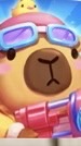 PetPetGo