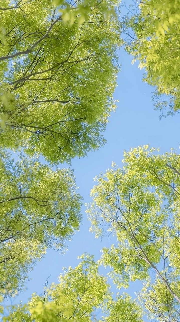 NutriCare 健康養生坊 🌿