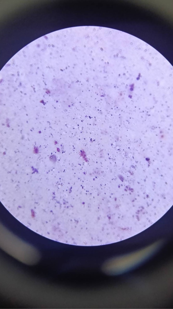 401-เทคนิคชีวะ-68