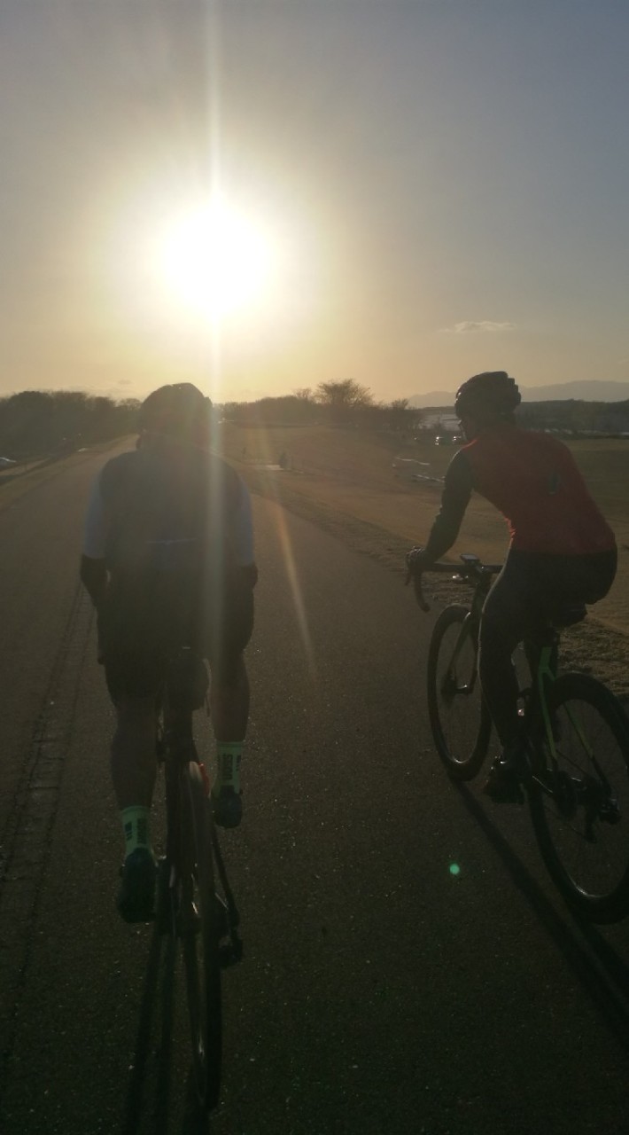 木曽川サイクリングロードの住人