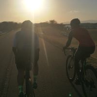 木曽川サイクリングロードの住人