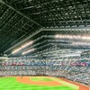 DOMIれ！北海道日本火腿Fighters應援交流會
