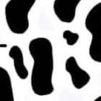ขายของ แฟชั่น&เครื่องสำอาง บิวตี้