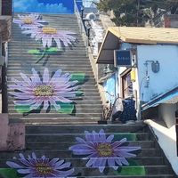 🌿韓国ドラマ・韓国旅行好き🌿東海地区50代〜の大人女子🌿