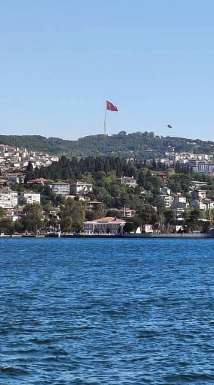 【近畿】シングルシニア大募集!!