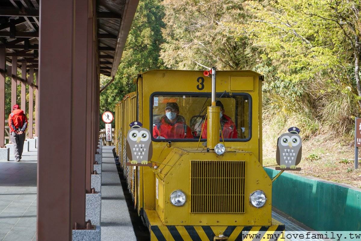 森林浴+溫泉浴雙享受！搭蹦蹦車美拍宜蘭太平山，順路喝雲海咖啡、泡仙氣美人湯