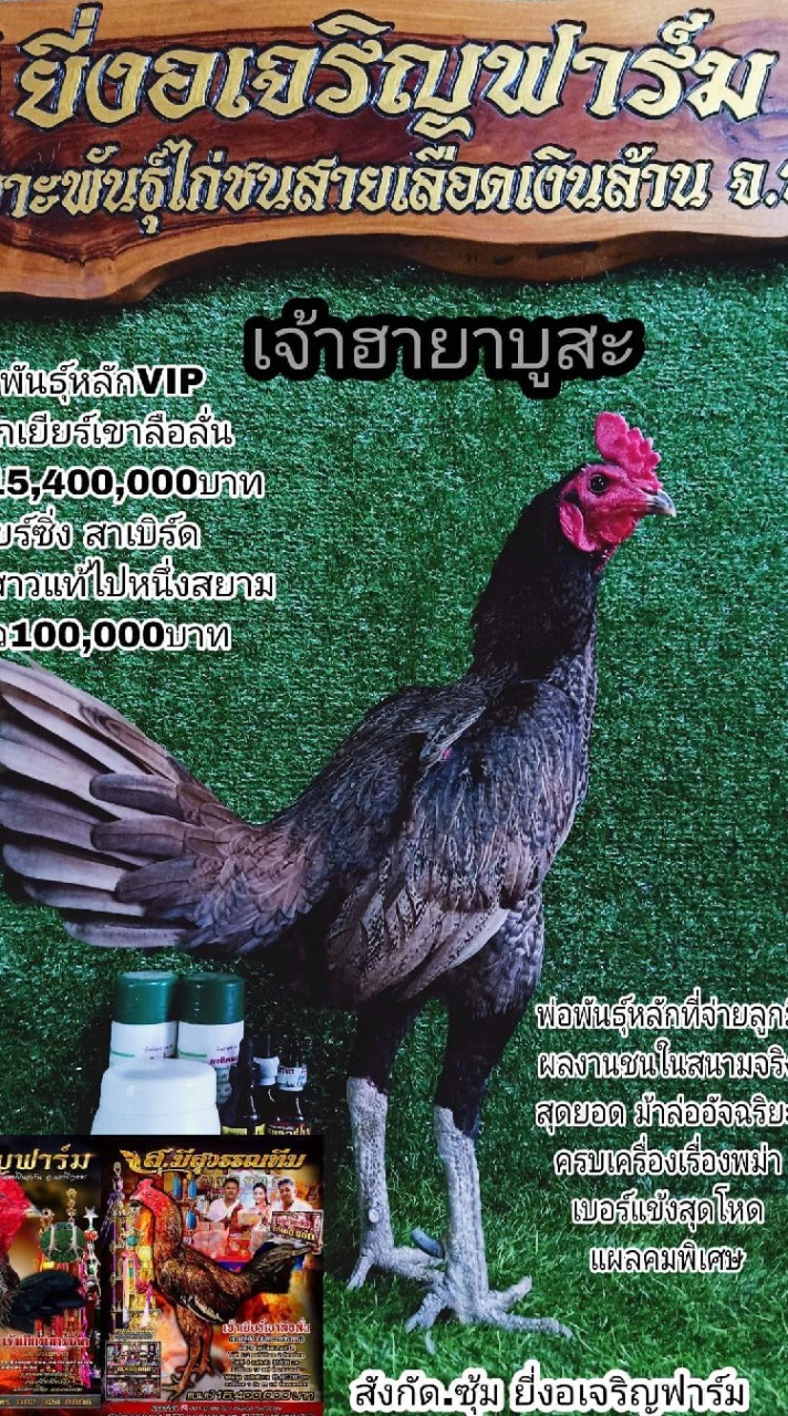 ซุ้ม ยี่งงอเจริญฟาร์ม