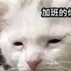 💣日常火藥庫💣