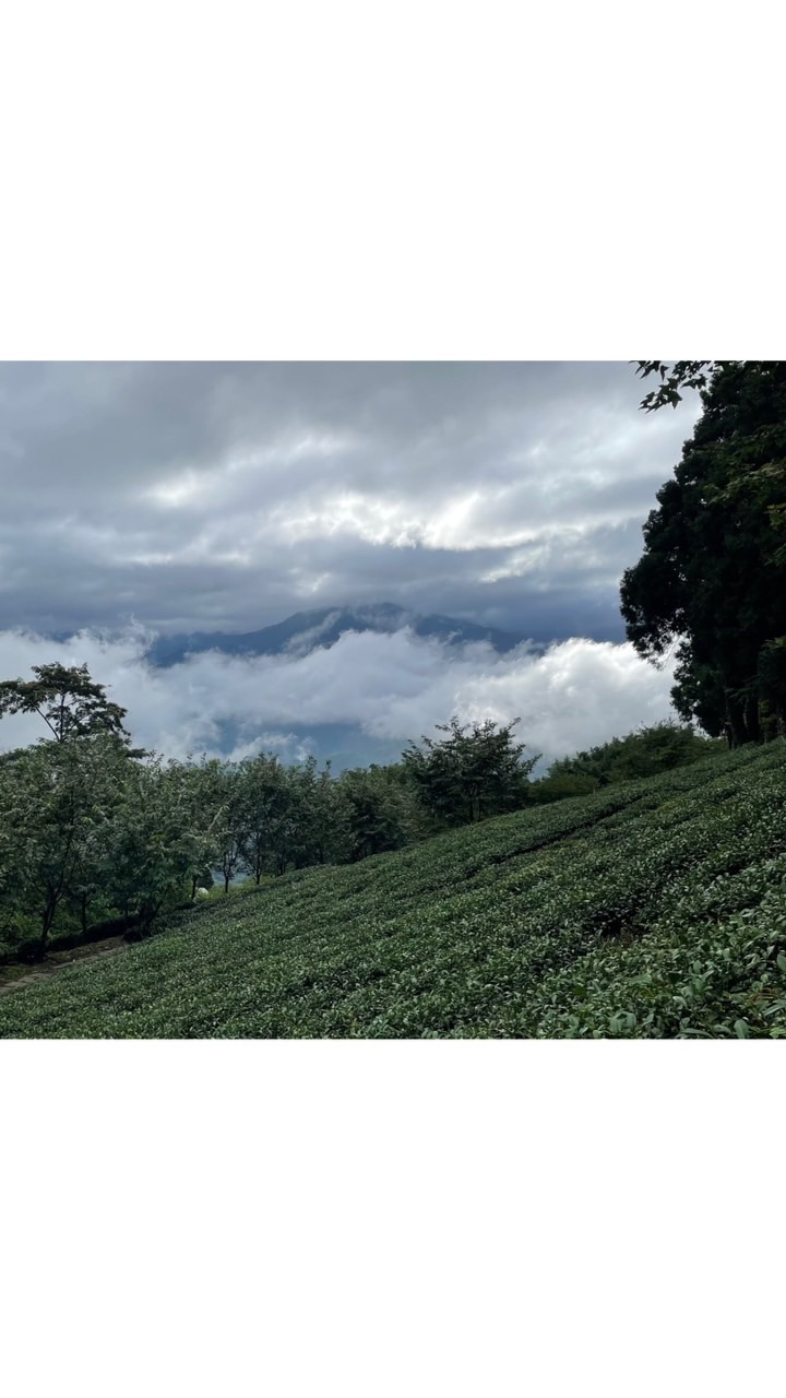 國內/國外旅遊優惠好康報齁你知