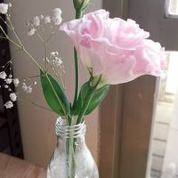 福芝優生