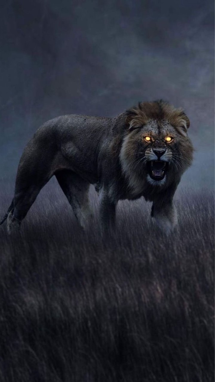 𝐿𝐼𝑂𝑁🦁 VIP 家族