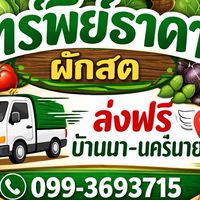 ทรัพย์ธาดา ผักสดส่งฟรี