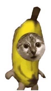 聊天群～～～～～～～～～～～～～