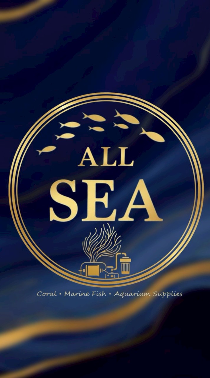 ALL SEA
