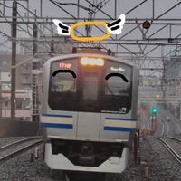 E217系直流近郊型電動客車教信仰会