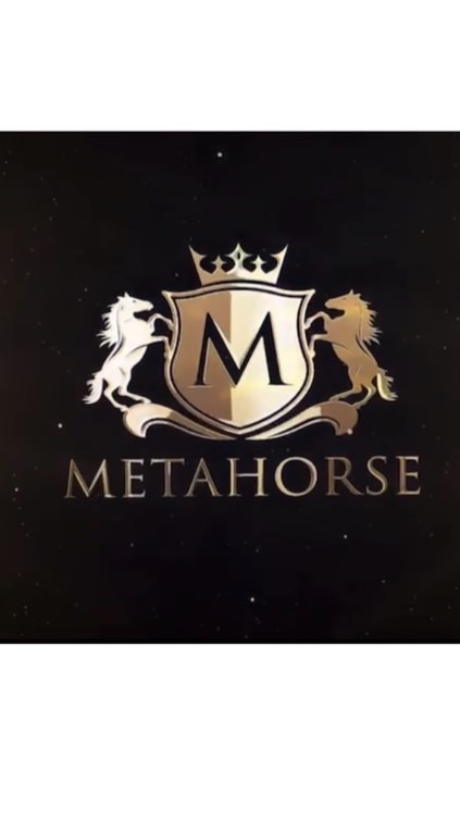 METAHORSE攻略所〜メタホース〜のオープンチャット