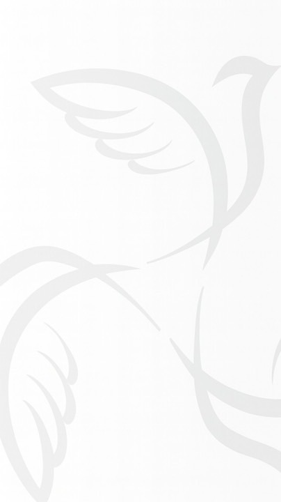 株式会社SWACK.起床報告