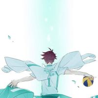 排球少年