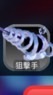 Roblox 競爭者RM戰隊
