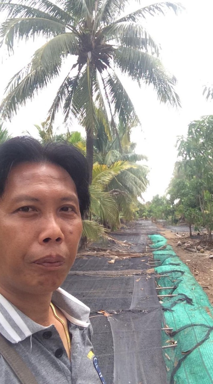 วิท ปลากัดบ่อดินสายกัด