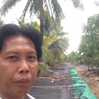 วิท ปลากัดบ่อดินสายกัด