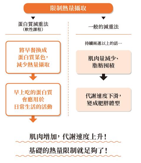 減重燃脂必知！利用「高蛋白產品」增加肌肉、提升基礎代謝率！