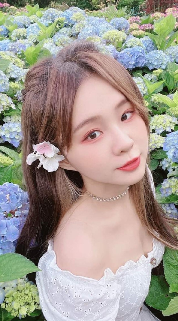 🌸呼呼-林芷瑩後援會暨幼稚園🌸