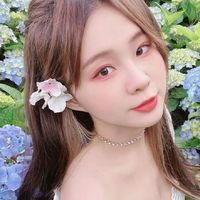 🌸呼呼-林芷瑩後援會暨幼稚園🌸