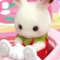 ⋆⭒˚.⋆橡糖果衣櫥 ⋆.˚𖦹⋆✮⋆.˚