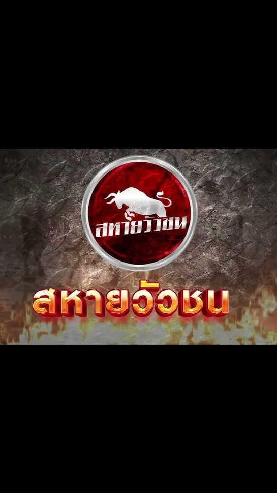 สหายวัวชน89