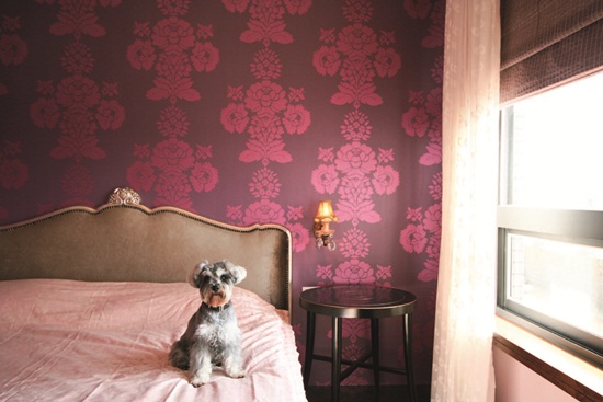 歐風古典、佈置、拱門、線板、壁爐、木百葉窗