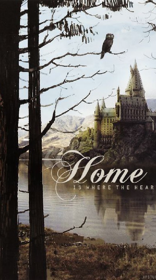 🏰Hogwarts School TH